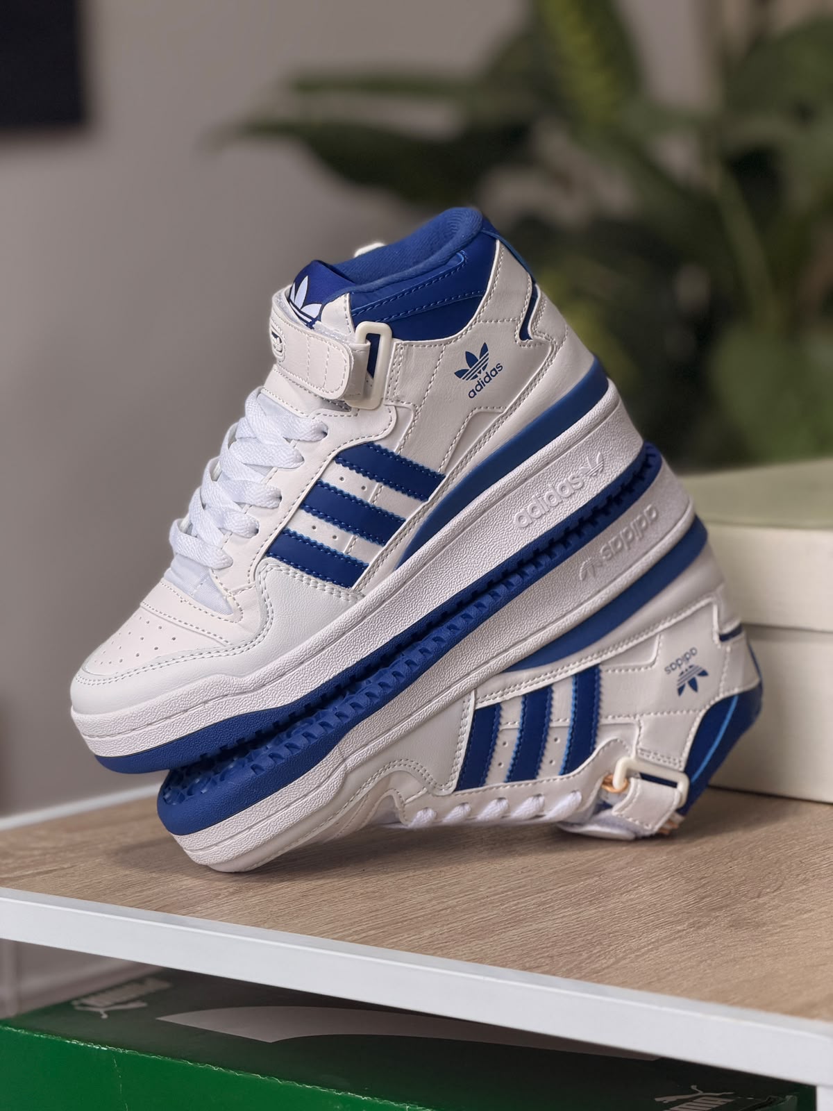 ADIDAS FORUM MID CLUD WHITE