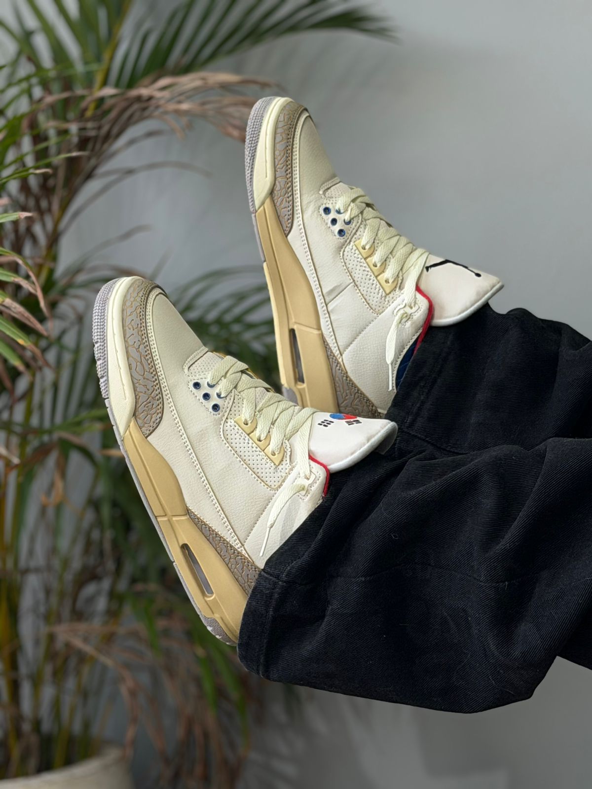 AIR JORDAN 3 SEOUL 2.0