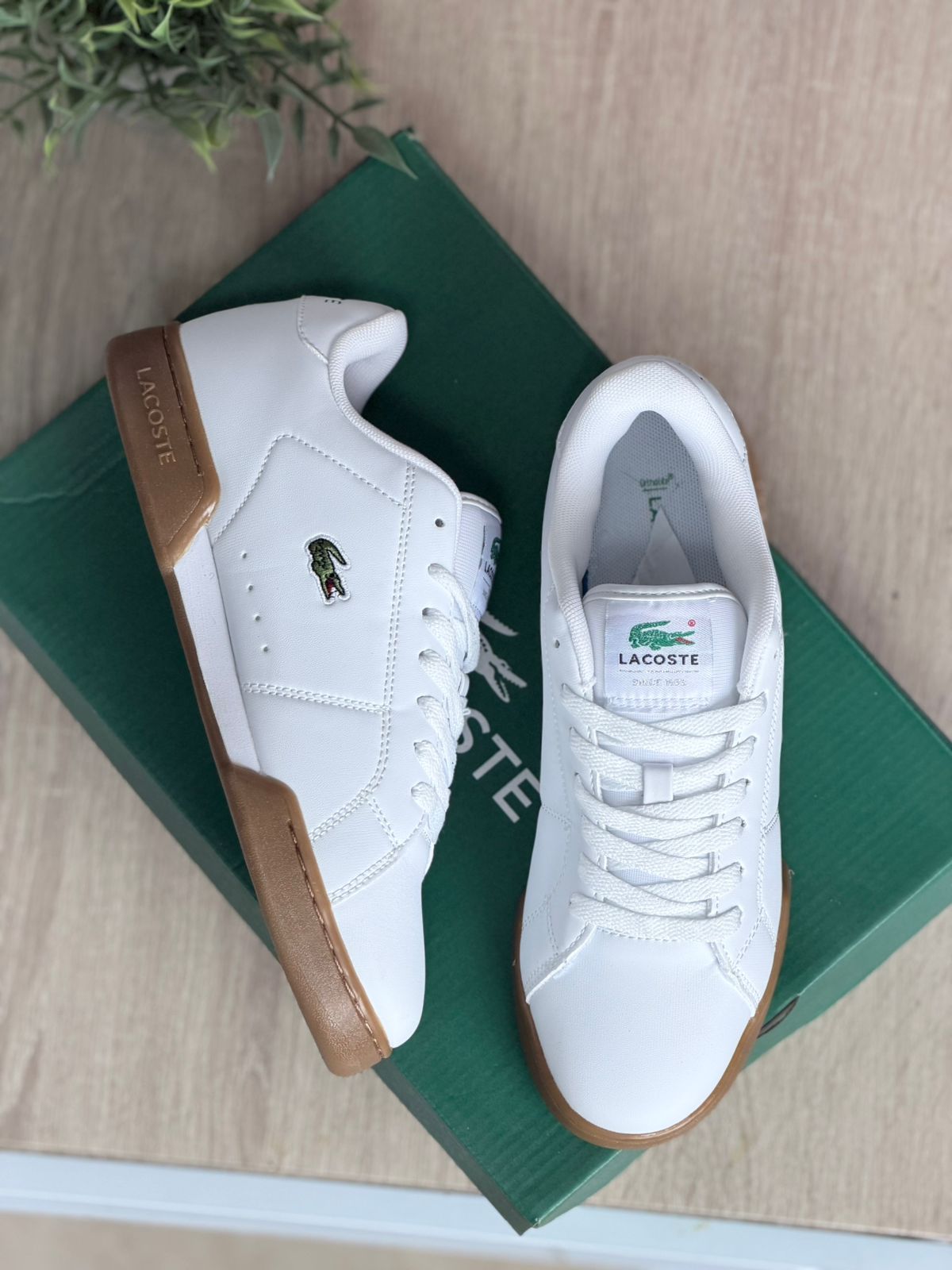 LACOSTE CARNABY CUP 225