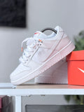 NIKE X DUNK LOW PRO