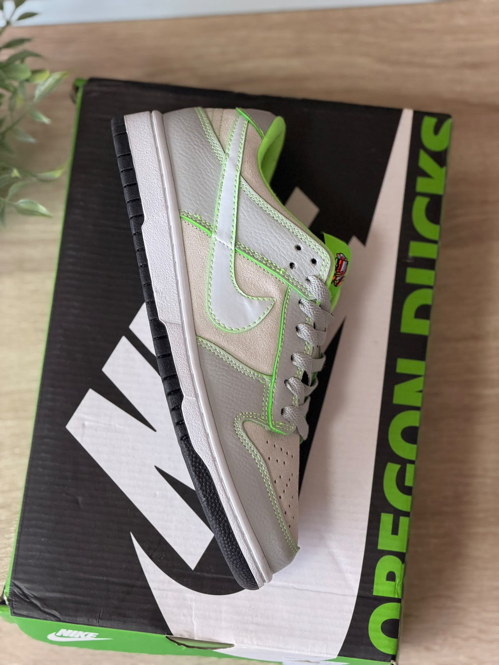 NIKE DUNK LOW UNIVERSITY