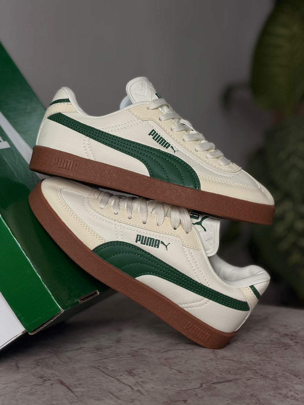 PUMA PALERMO BEIGE VERDE
