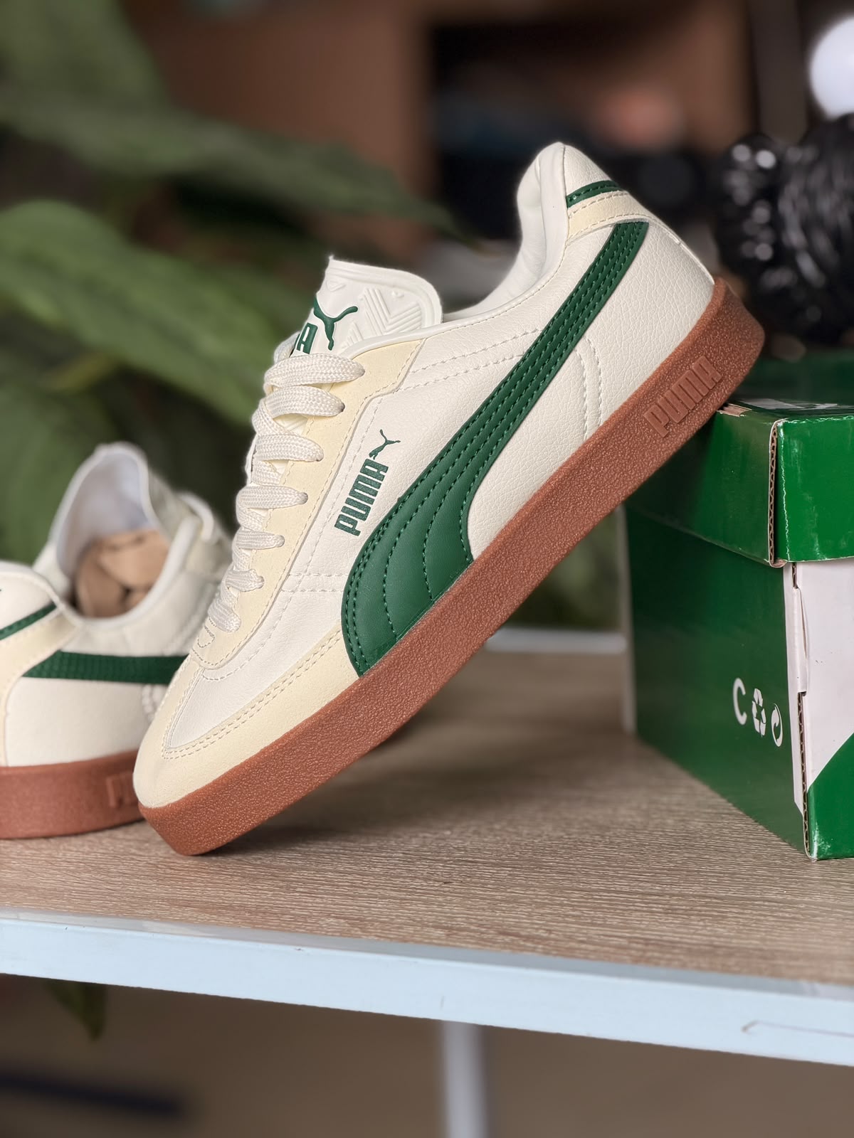 PUMA PALERMO BEIGE VERDE