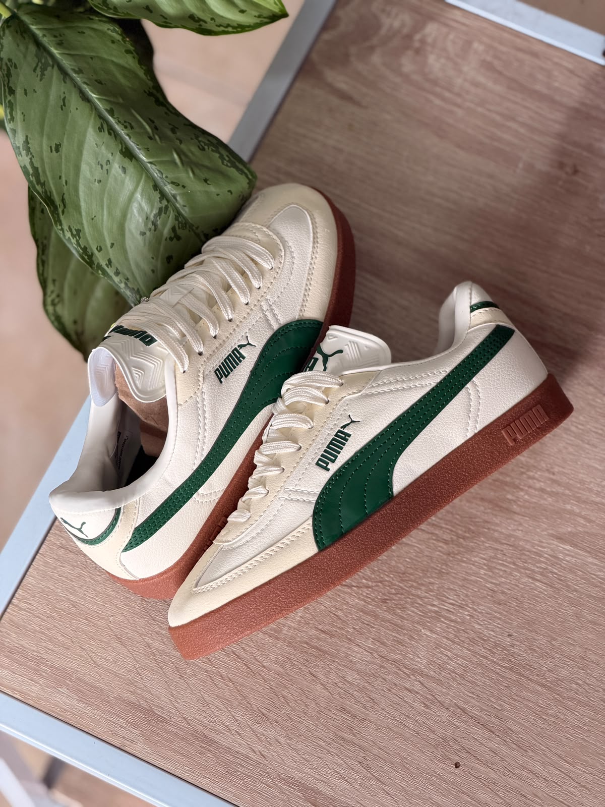 PUMA PALERMO BEIGE VERDE