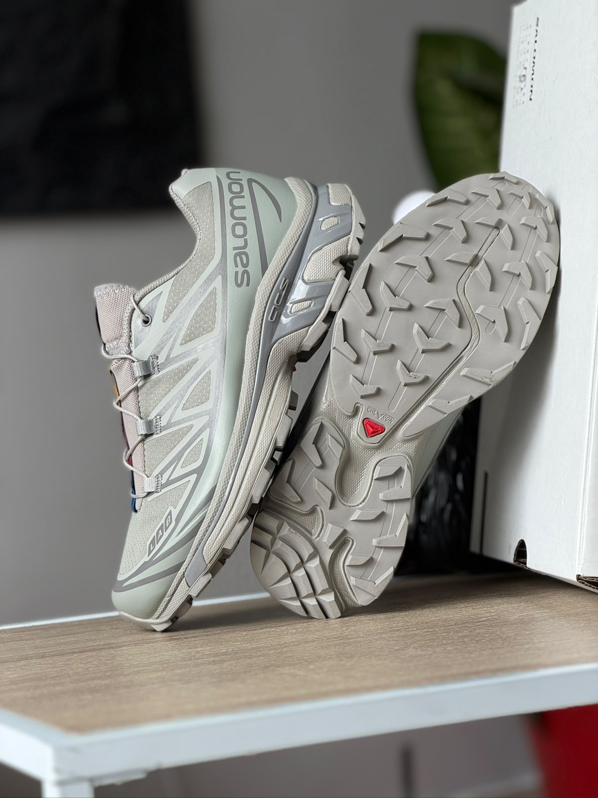 SALOMON XT 6 GRIS