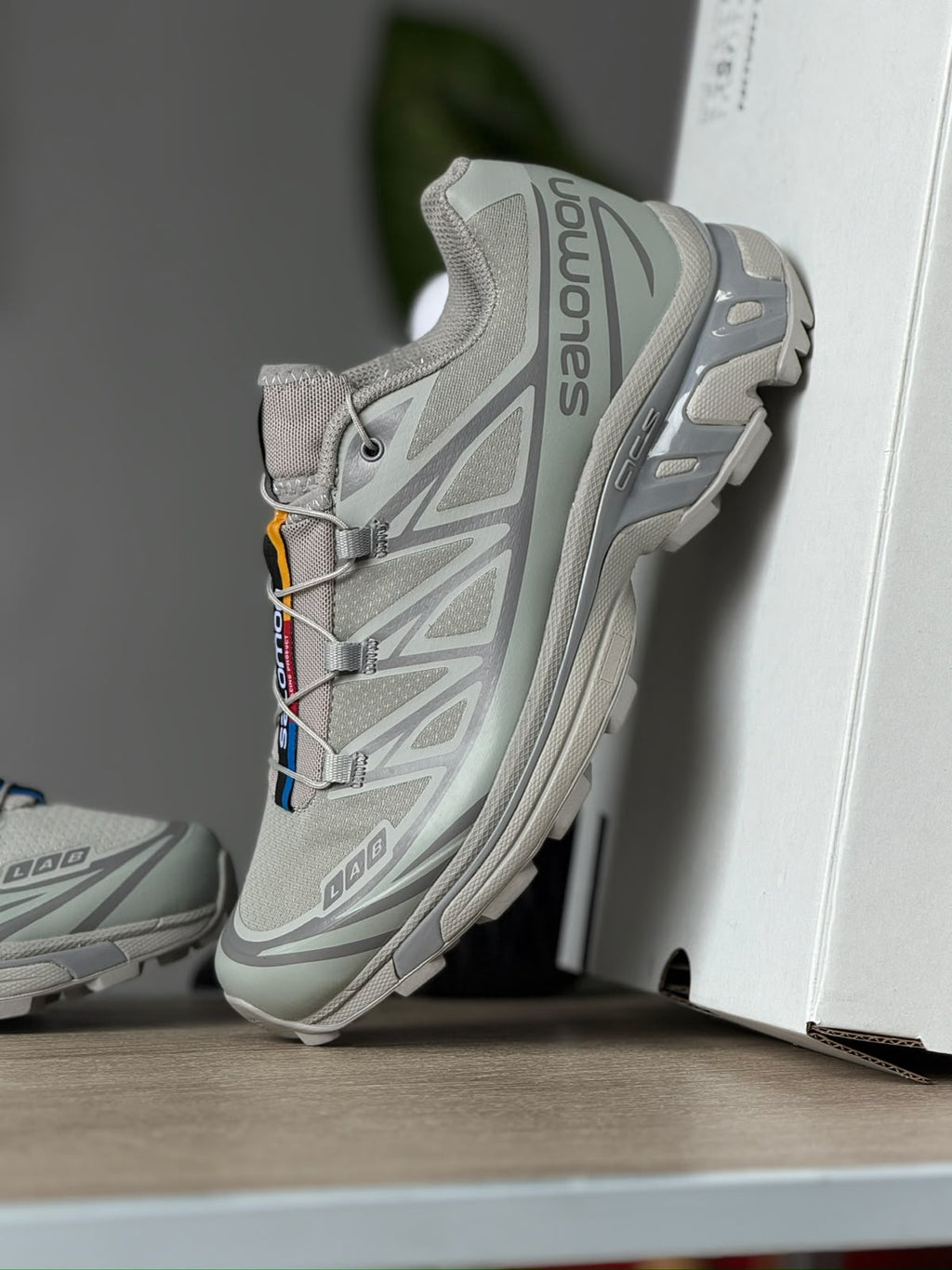 SALOMON XT 6 GRIS