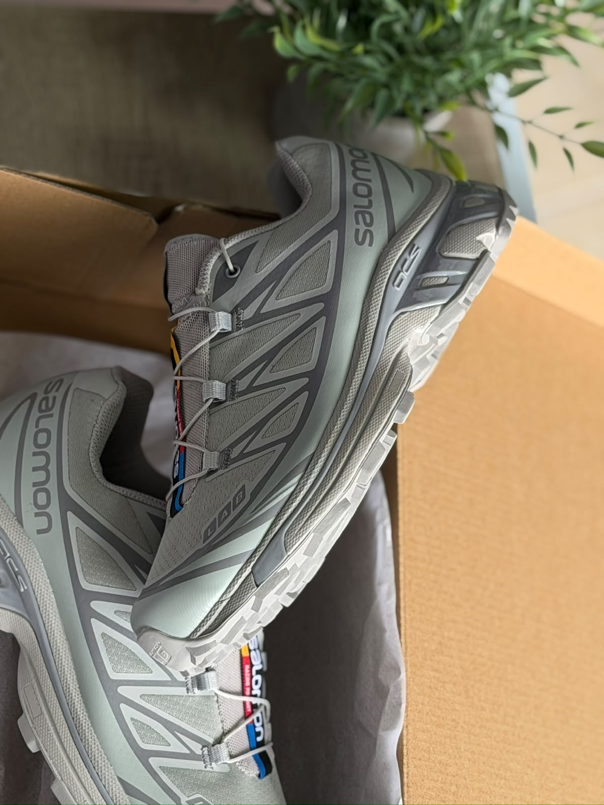 SALOMON XT 6 GRIS